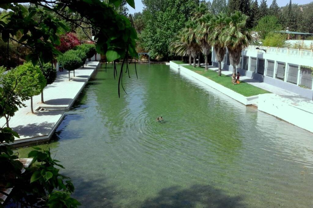 فيلا Vivienda Rural Mogon-Junto Al Guadalquivir B فياكاريو المظهر الخارجي الصورة